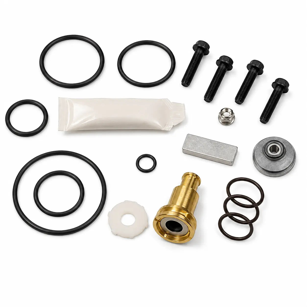 purger rebuild kit